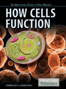 How-Cells-Function
